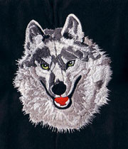 embroidery digitizing